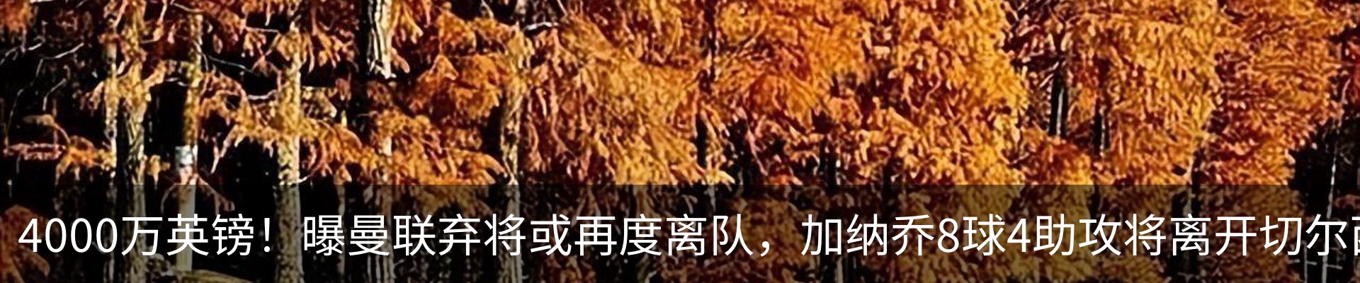 内页banner