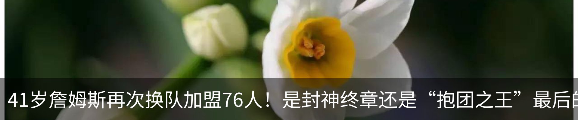 内页banner